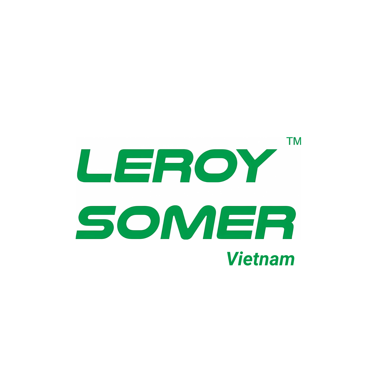 Leroy Somer Vietnam