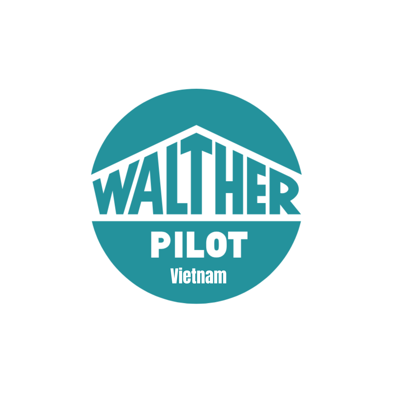 Walther Pilot Vietnam