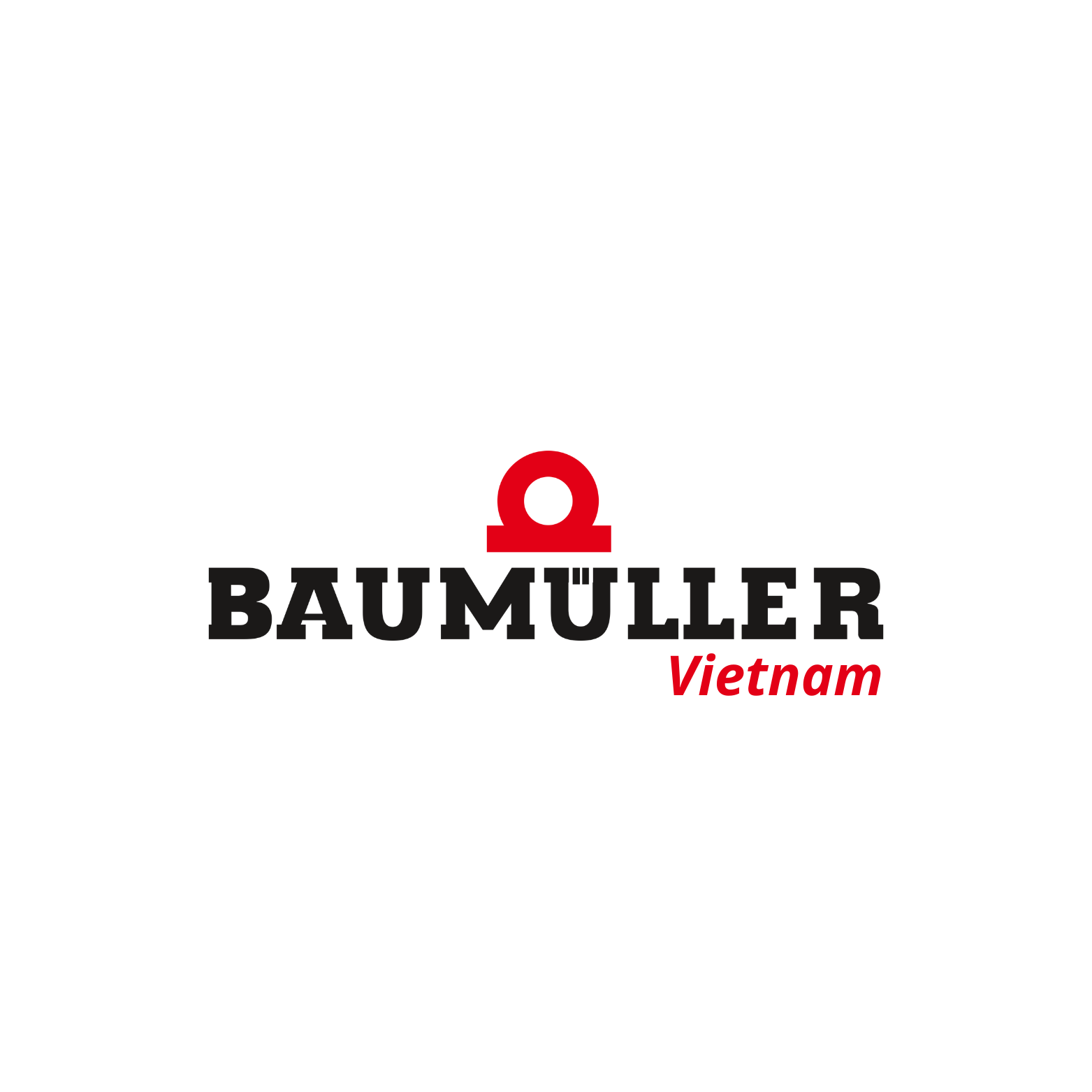 BAUMÜLLER VIETNAM