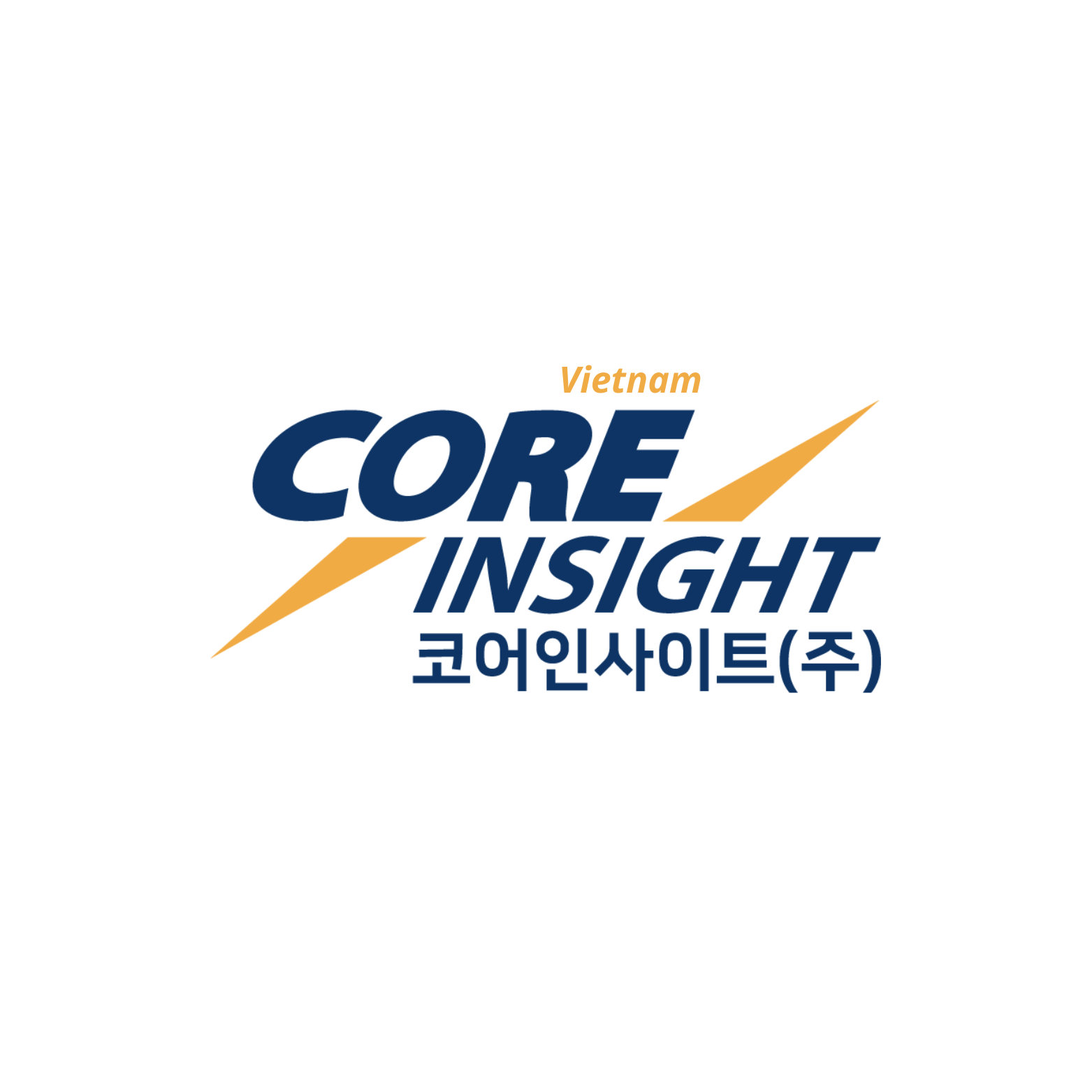 CORE INSIGHT VIETNAM