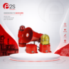 STEXS2FAC230ES1A1R E2S Vietnam